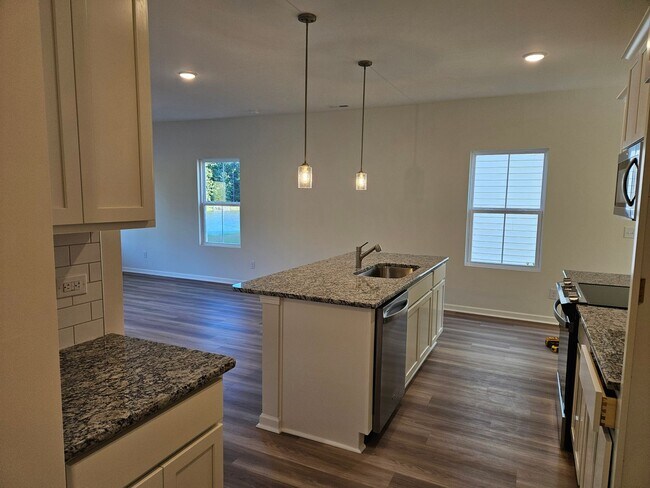 Building Photo - Brand new 3 bedroom, 2.5 bath Hampstead ho...