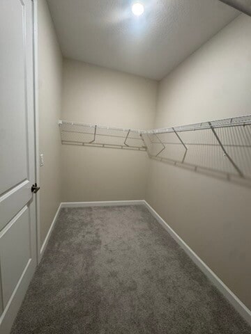 Master Walk-in Closet - 2438 Croft Inlet Dr NW