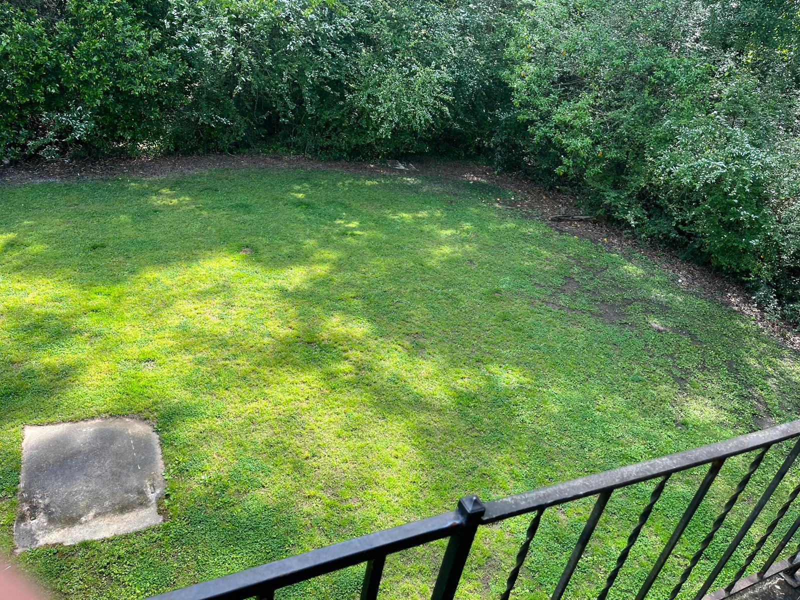 Building Photo - 3221 Westbrook Dr