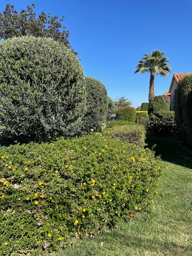 Front Yard - 2058 W 84th Pl