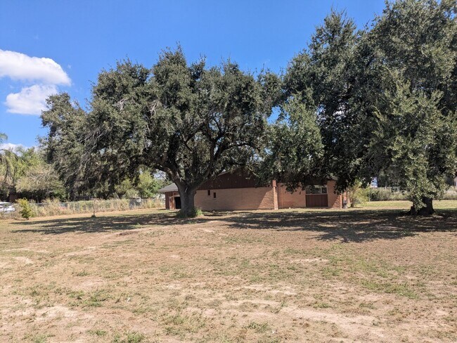 Building Photo - 1439 N Alamo Rd