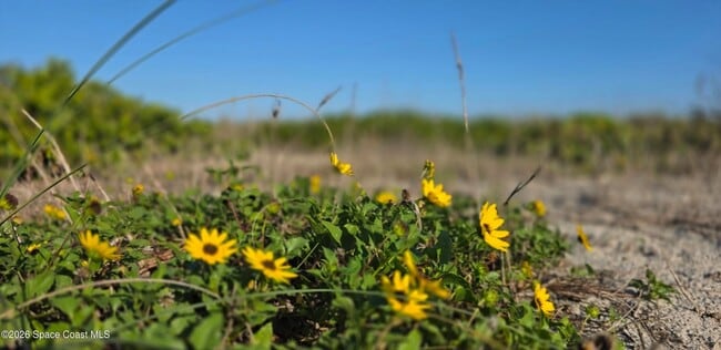 Building Photo - 3223 S Atlantic Ave