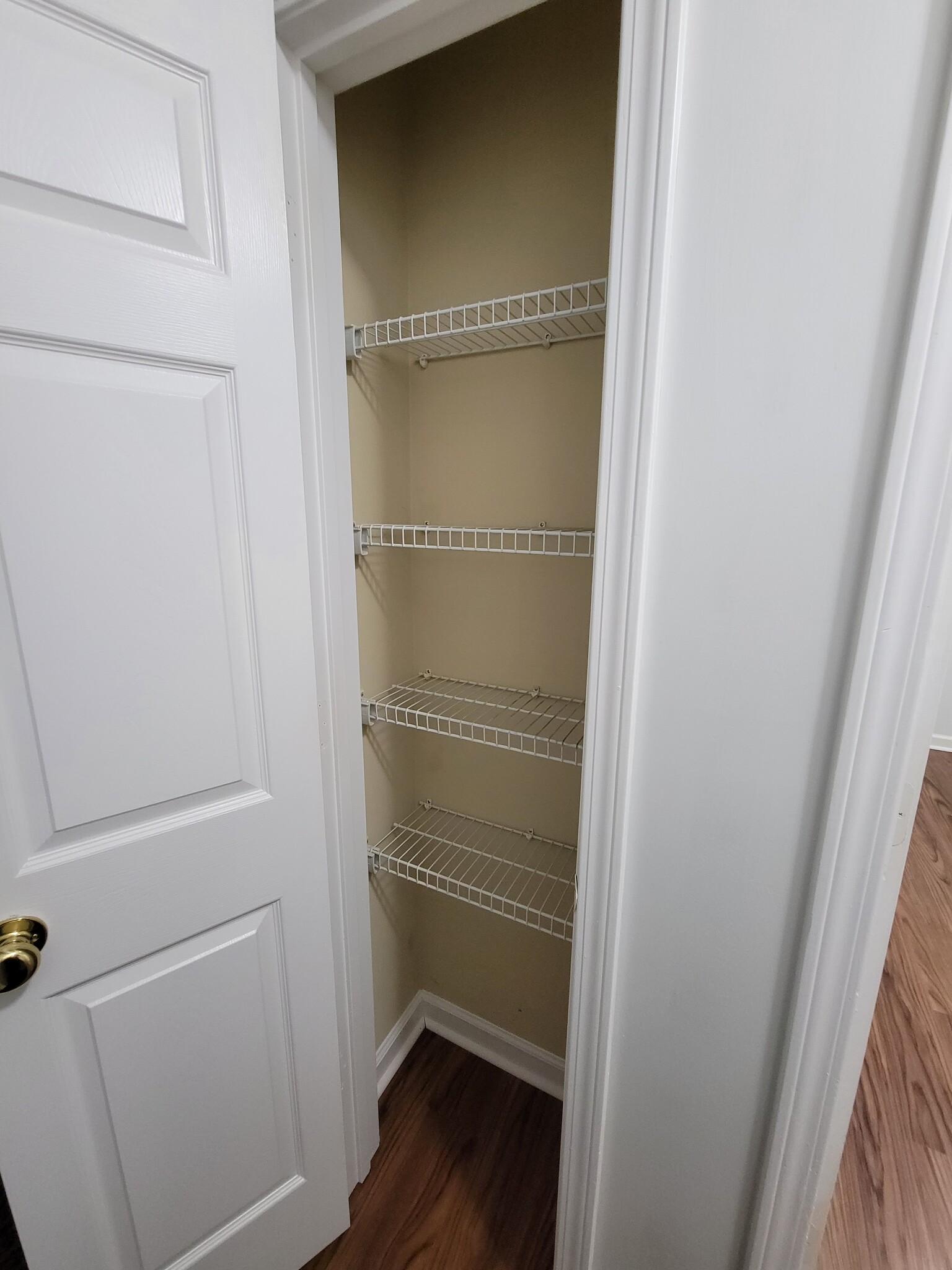 Additional hallway closet, great for all of your linens! - 103 Pasofina Dr