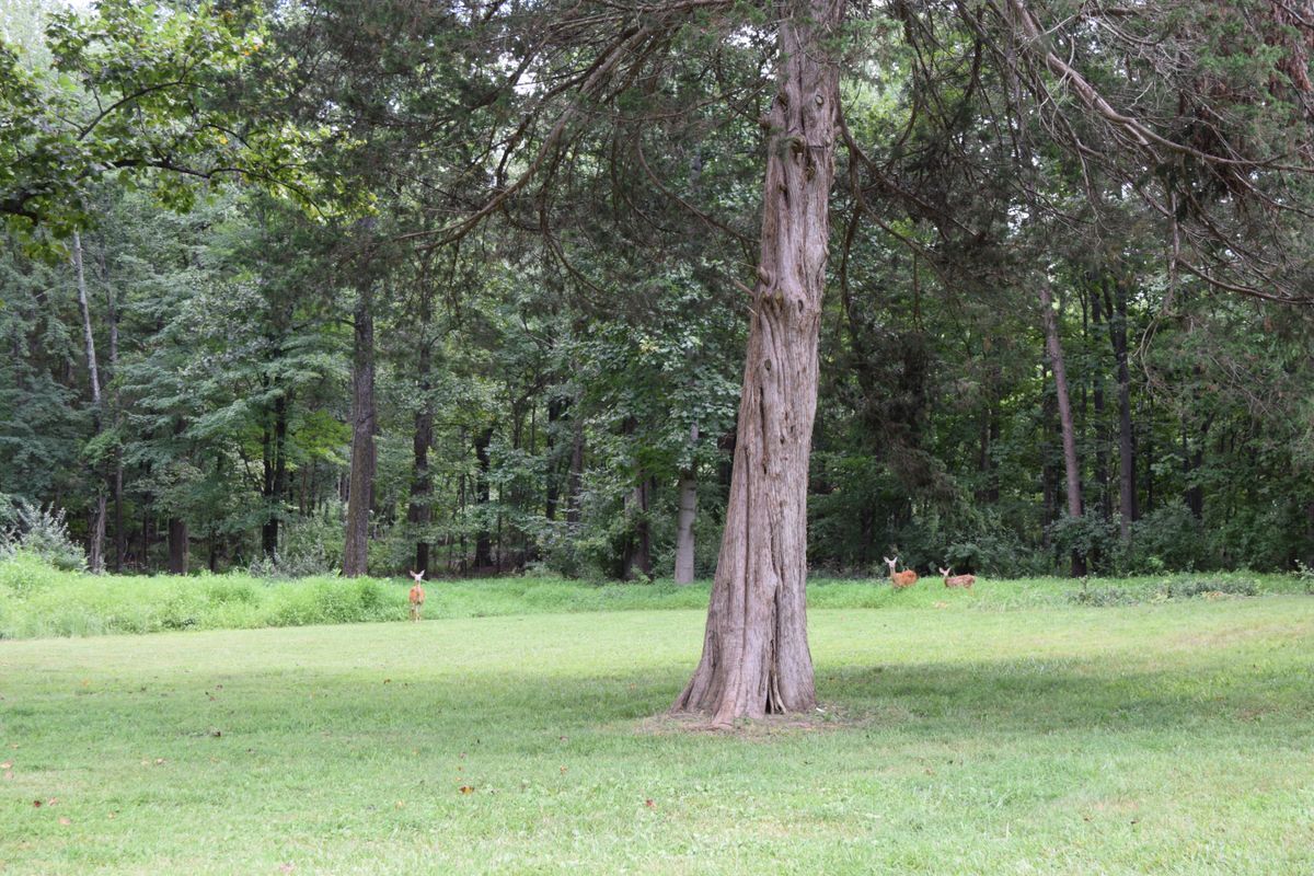 Building Photo - 7023 Kelly Rd