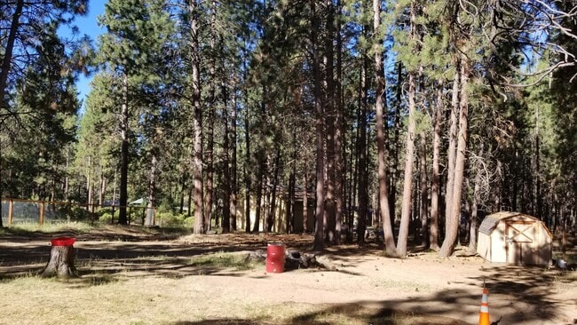 Building Photo - VIDEOTOUR: Awesome Location! Beautiful Ponderosa Pines, Minutes To Bend! PETS WELCOME