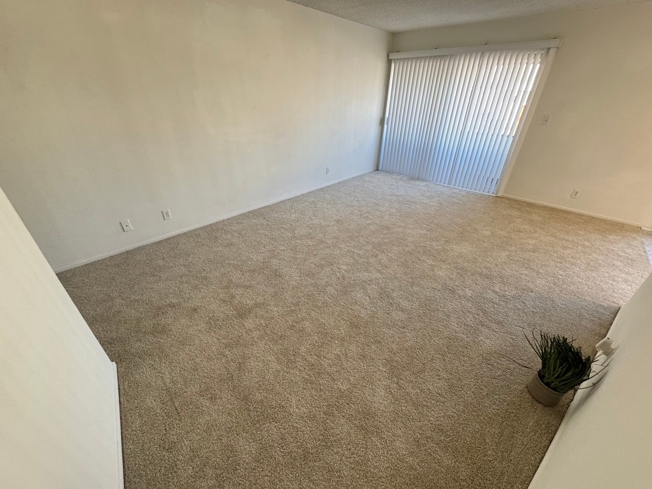 Building Photo - 5858 S Pacific Coast Hwy