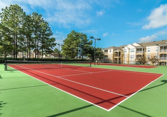 Building Photo - 8212 Fan Palm Way