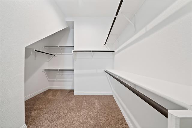 Building Photo - 2003 Oleander St