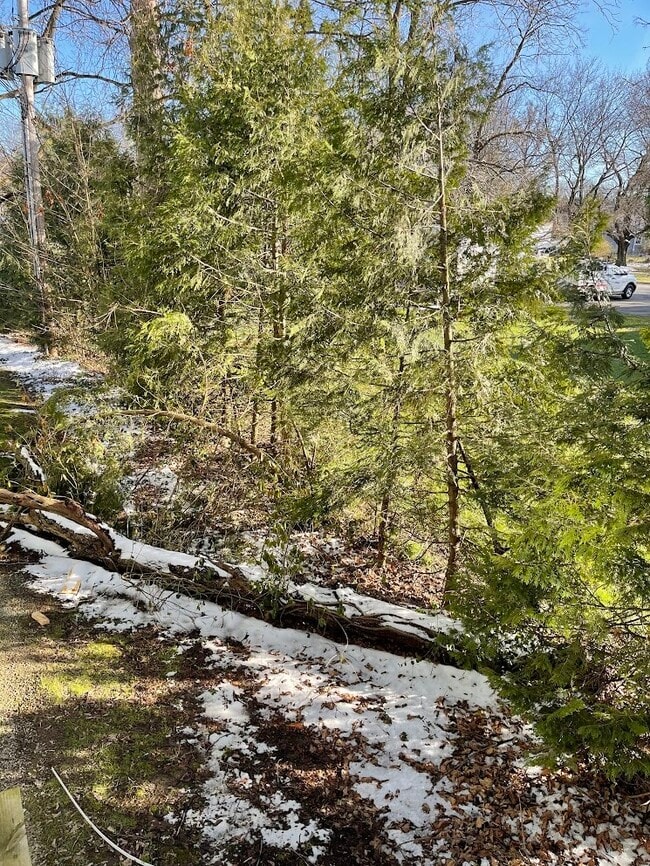 Building Photo - 15 S Park Row