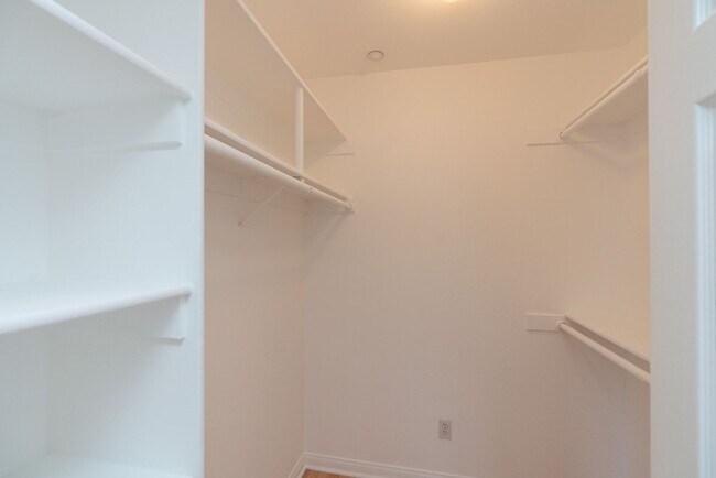 Building Photo - 2656 Escala Cir