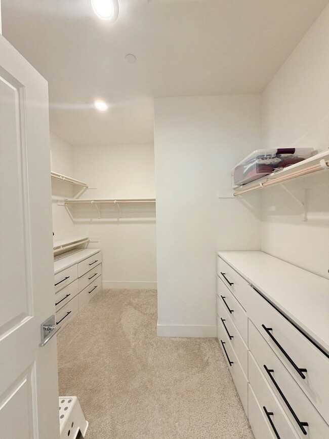 Building Photo - 5329 Frisanco Wy