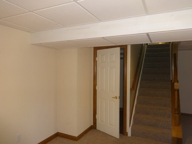 Building Photo - 383 Clifden Ct