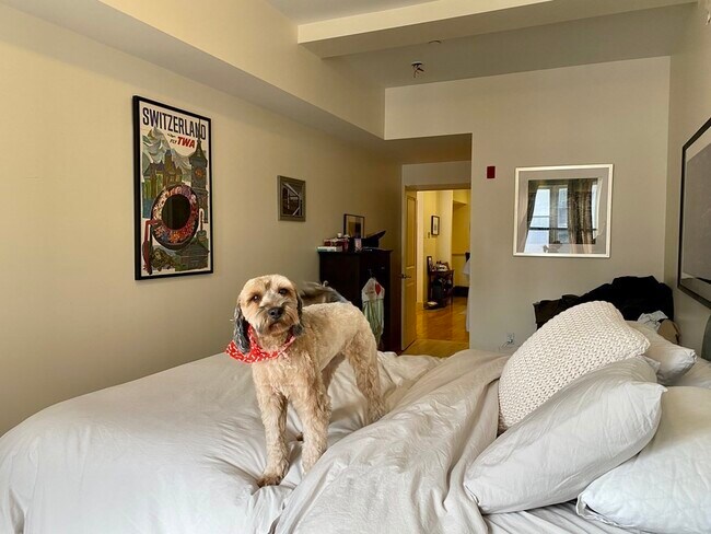 Building Photo - 14 Parmenter St