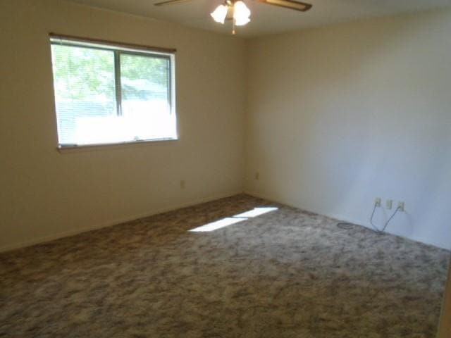 Building Photo - 3834 Wake Forest Ln