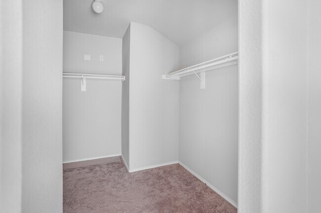 Building Photo - 9805 Cold Creek Dr