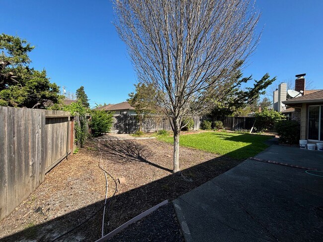 Building Photo - Updated Single level 3 bedroom 2 bathroom Bennett Valley Home with new paint and beautiful refini...
