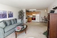 Interior Photo - Fir Tree