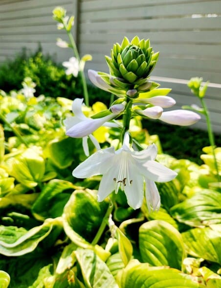 Building Photo - 2200 W 32nd St