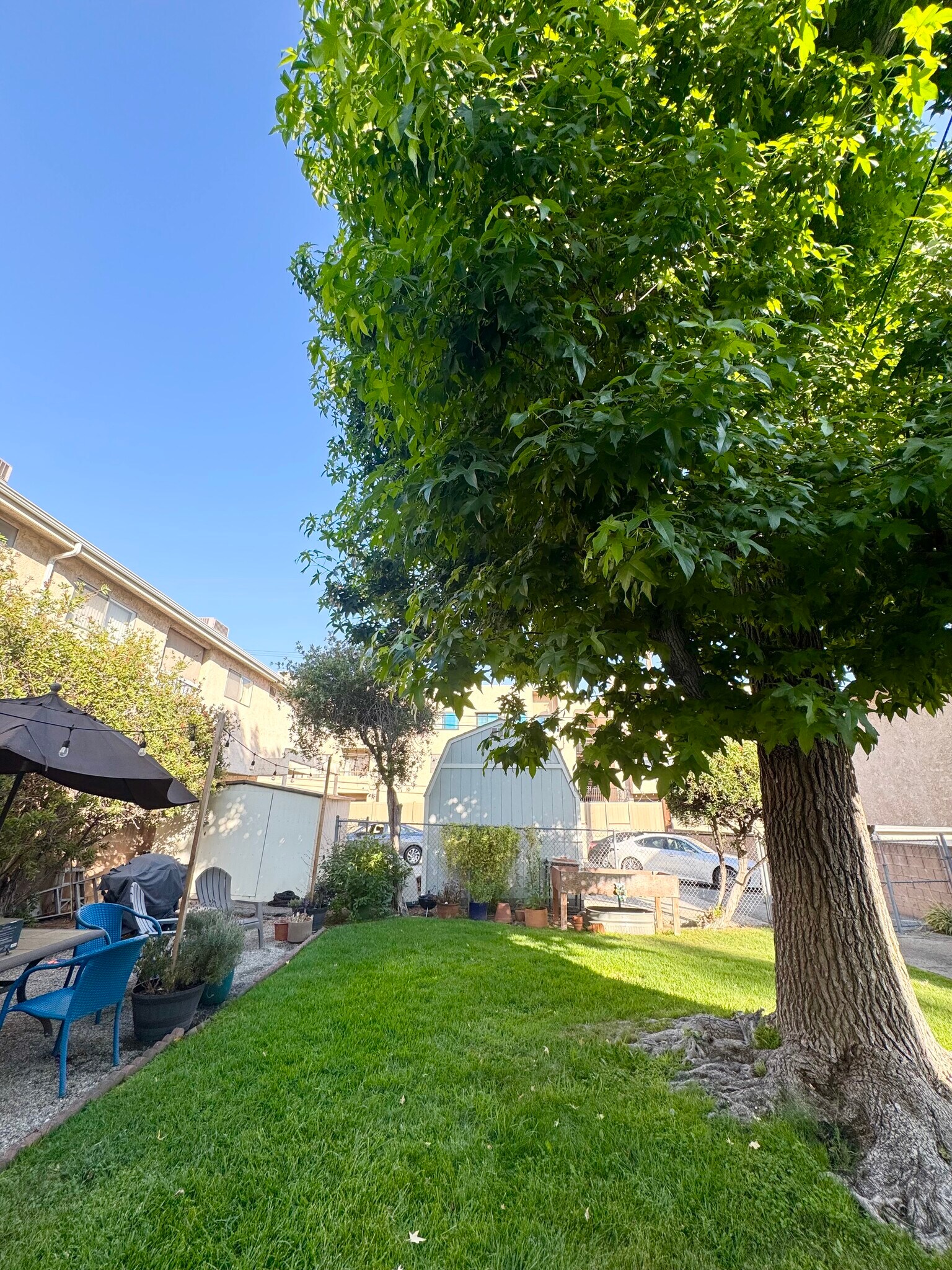 Building Photo - 446 E Cypress Ave