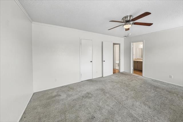 Building Photo - 3862 Wonder Ct