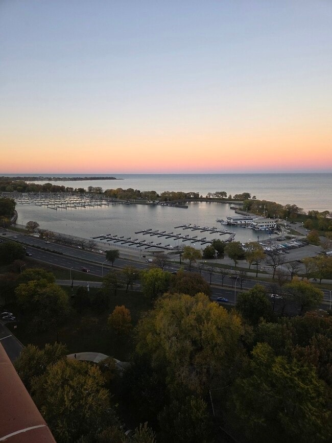 Building Photo - 3100 N Lake Shore Dr