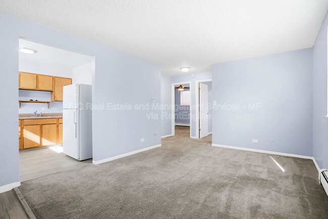 Building Photo - 970 N Downing St