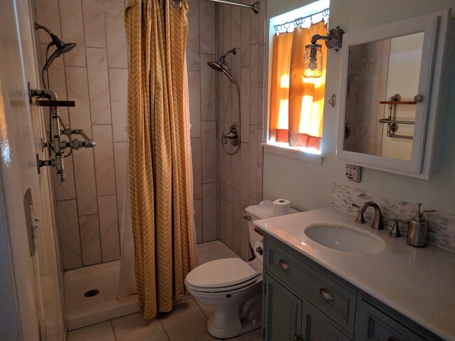 Master bathroom with double shower and double sinks - 8716 E 47th Pl