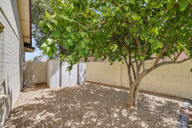 Building Photo - Beautiful Chandler home!