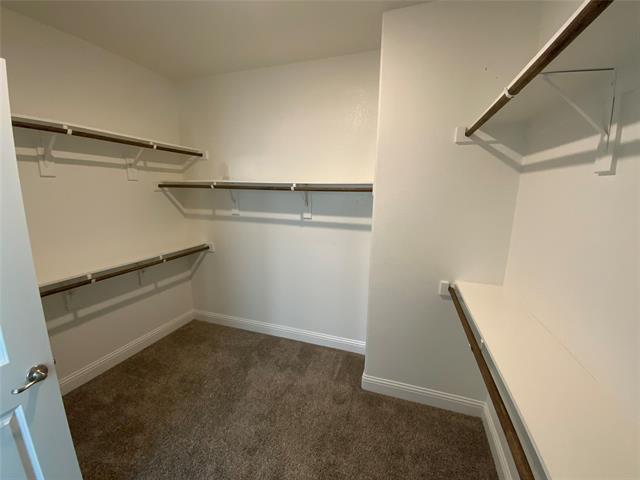 Building Photo - 11217 Cobalt Dr