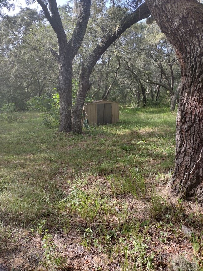 Building Photo - 3 bedroom 2 bathroom Home on 2 1/5 acres