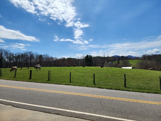 Building Photo - Large Brick Ranch-Rental