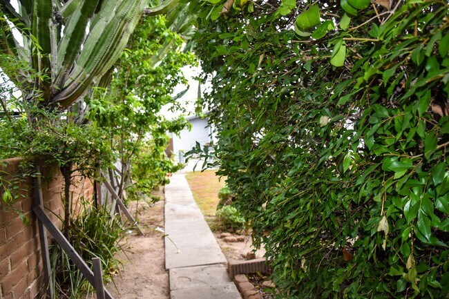 Building Photo - Steps to Chapman College