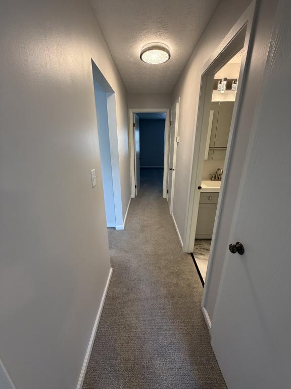 Building Photo - 118 Carter Cir