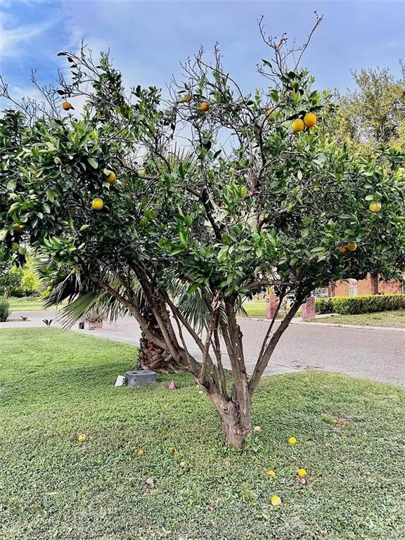 Building Photo - 24 Whitewing Dr