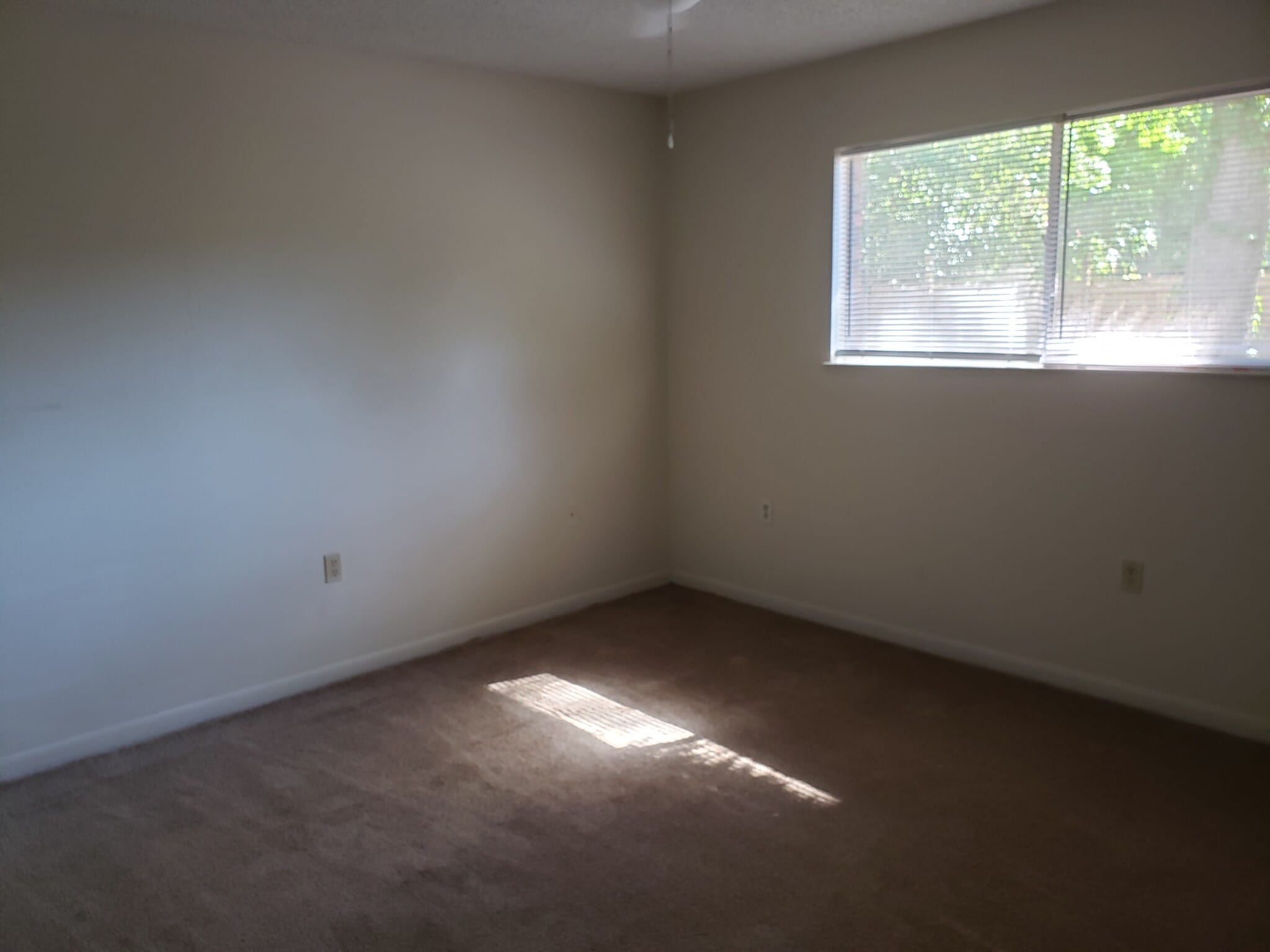 Bedroom - 931 McFarlan Ave