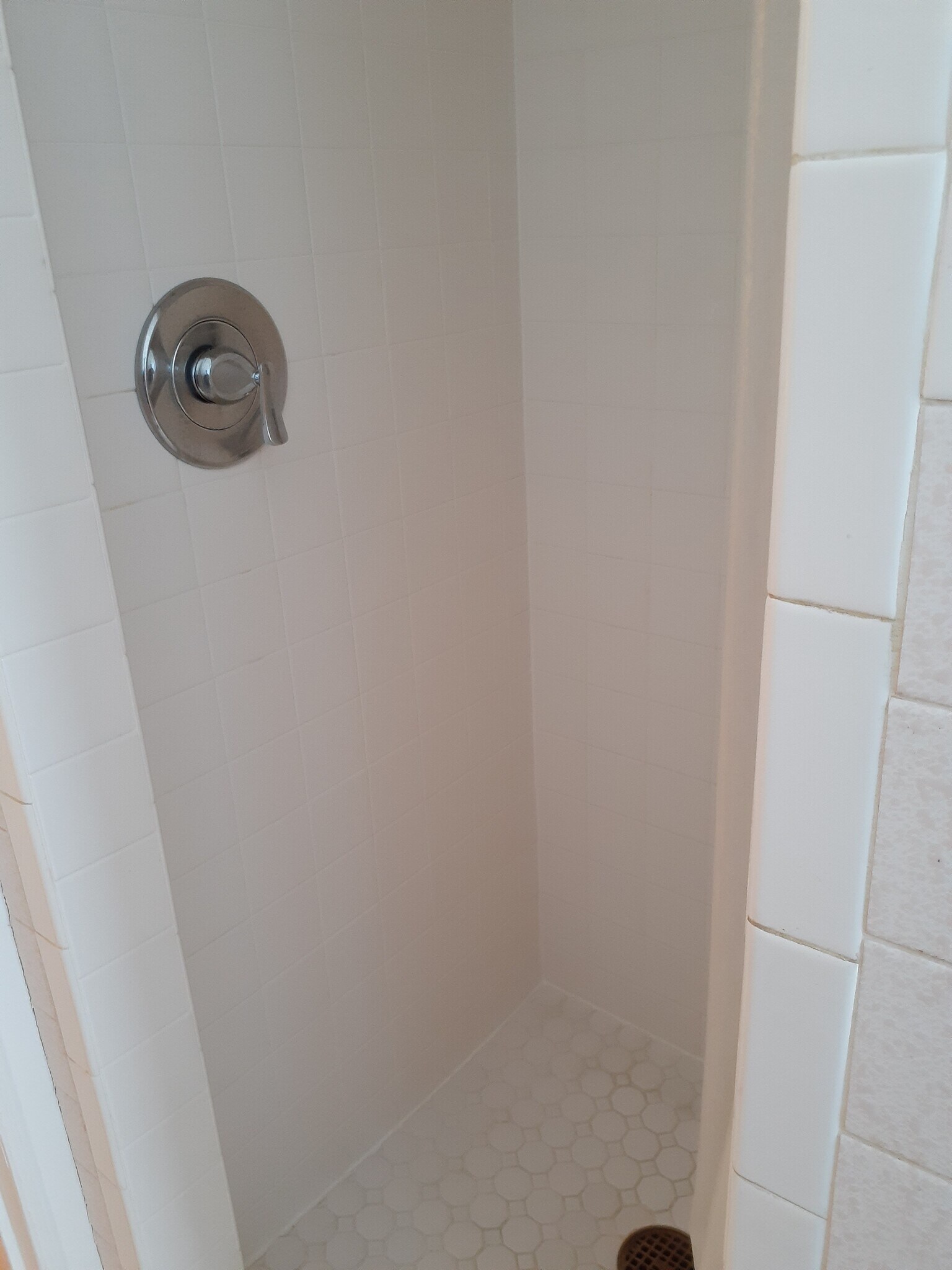 Separate Shower - 6101 N Sheridan Rd
