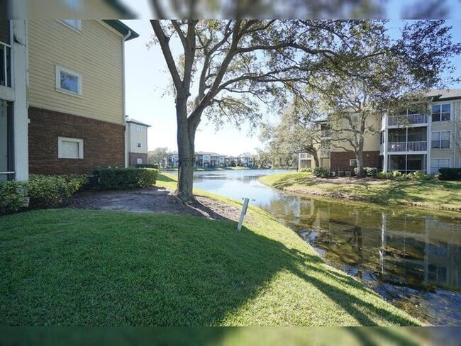 Building Photo - Beautiful 2-Bedroom Condo with Lake Views in Carrollwood