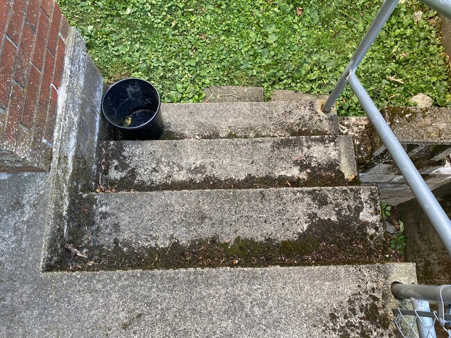 Building Photo - 43-45 Hall Avenue - 45