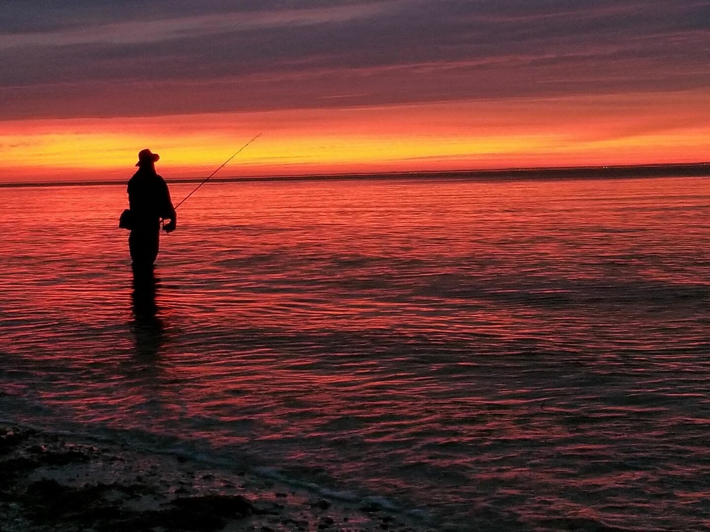 Building Photo - 30 Point Breeze Dr