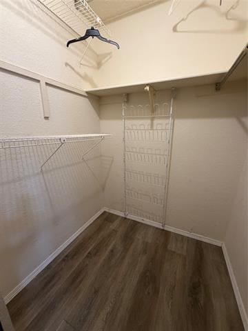 Building Photo - 823 Blue Oak Dr