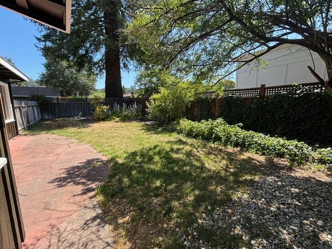 Building Photo - 2 Bedroom 1 Bathroom located in Santa Rosa...