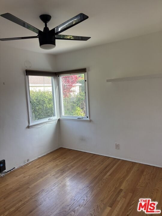 Building Photo - 4162 Commonwealth Ave