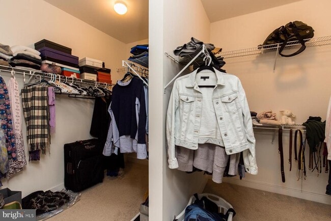 Building Photo - 207 Brinley Ct