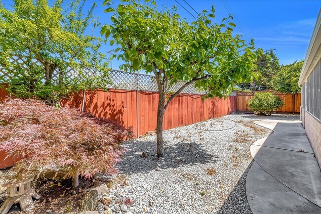 Building Photo - 3 Bedroom 2 Bath Home located in Palo Alto's Palo Verde Neighborhood!