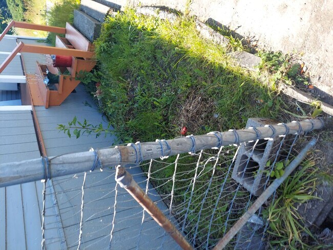 Building Photo - Charming Tacoma Home on a Peaceful Corner Lot!