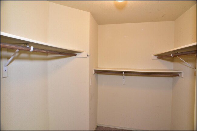 Building Photo - 14325 Island Point Dr