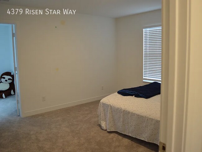 Building Photo - 4379 Risen Star Way