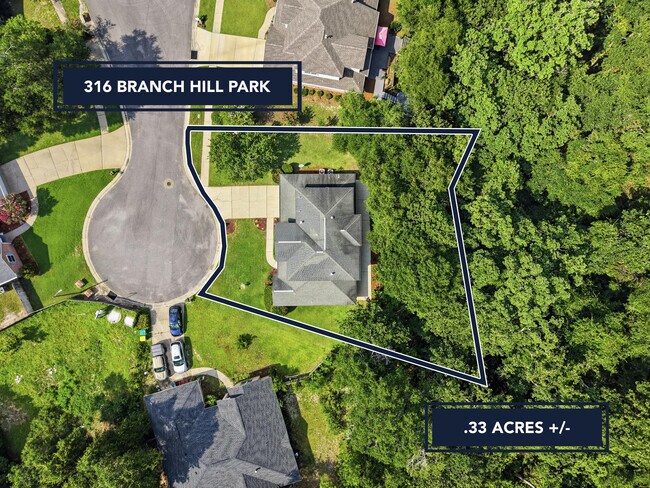 Building Photo - 316 Branch Hill Park