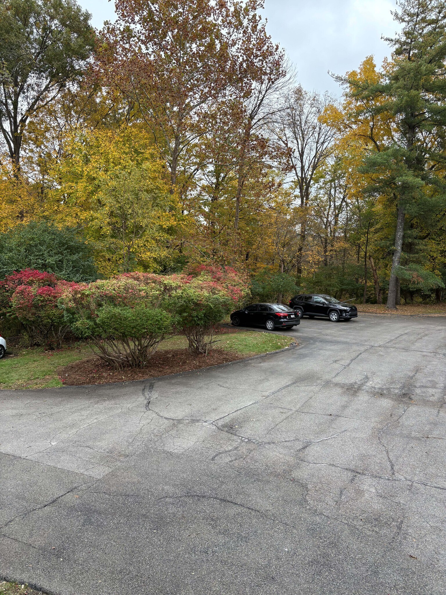 Additional rear parking - 6518 Montero Dr