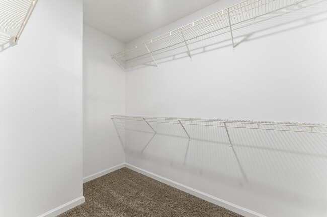 Building Photo - 4814 Bob White Run